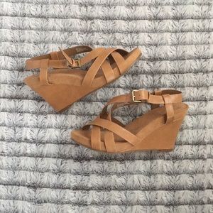 Camel-Brown Wedges